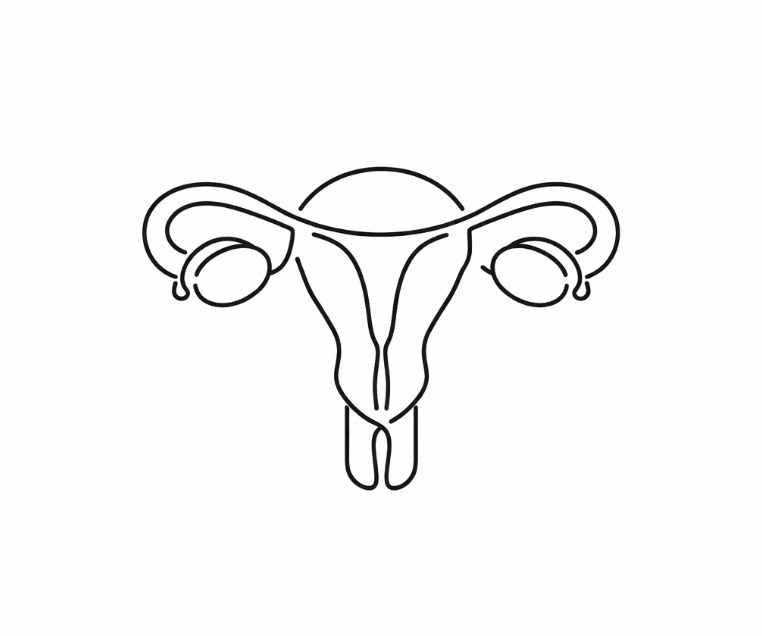 GYNAECOLOGICAL SERVICES Menstrual disorders • Infertility • Contraception • Gynecological cancers • Aesthetic gyn